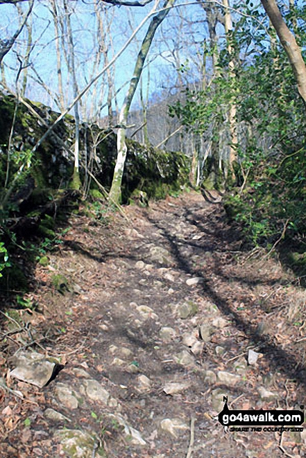 Bell Rake above Low Park Wood on the way up Whitbarrow Scar