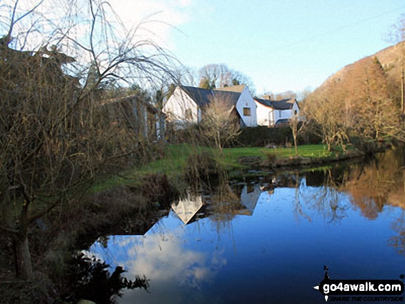 Mill pond in Mill Side (Witherslack)