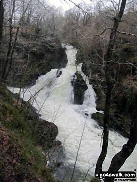 Colwith Force