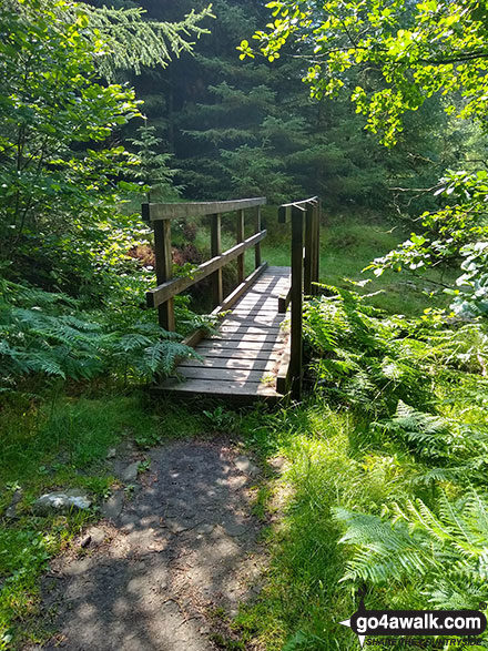 Walk d201 Seal Stones (Kinder Scout) and Seal Edge from Birchin Clough - The footbridge over Birchin Clough