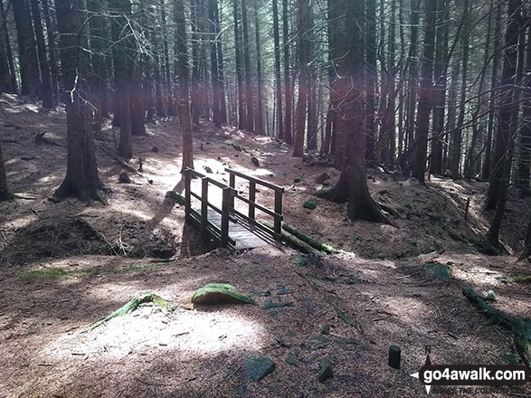 Walk d201 Seal Stones (Kinder Scout) and Seal Edge from Birchin Clough - Footbridge on Lady Clough Woods