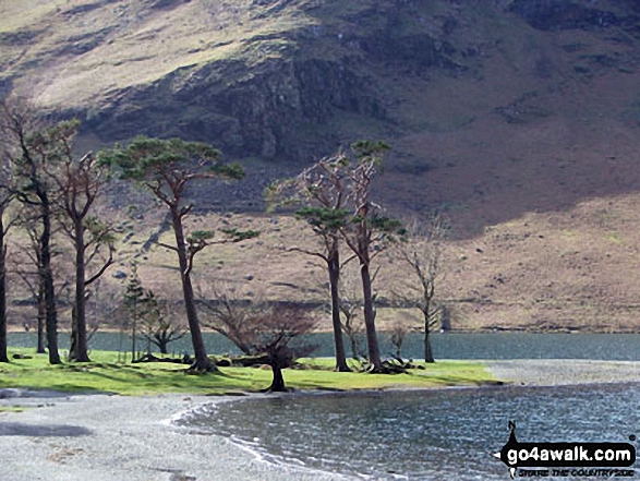 Walk c160 Pillar from Gatesgarth, Buttermere - Buttermere