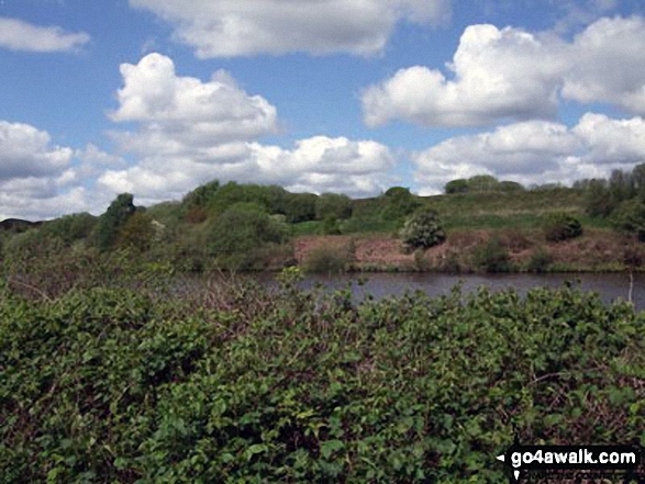 Walk ch261 Statham from Thelwall - The Manchester Ship Canal at Thelwall