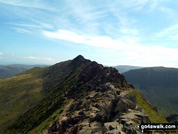 Walk c427 Helvellyn via Striding Edge from Patterdale - Striding Edge (Helvellyn)