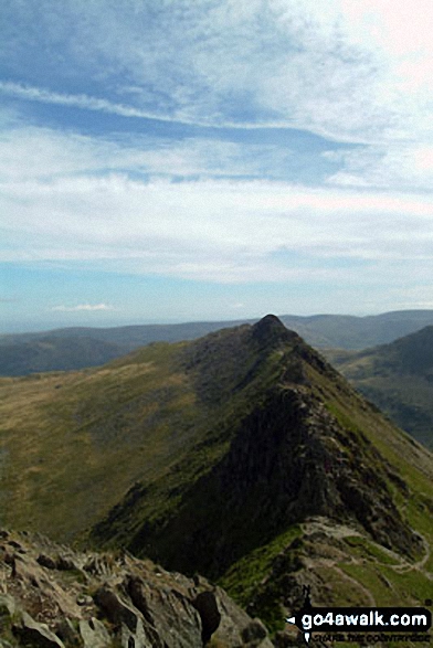 Walk c427 Helvellyn via Striding Edge from Patterdale - Striding Edge (Helvellyn)