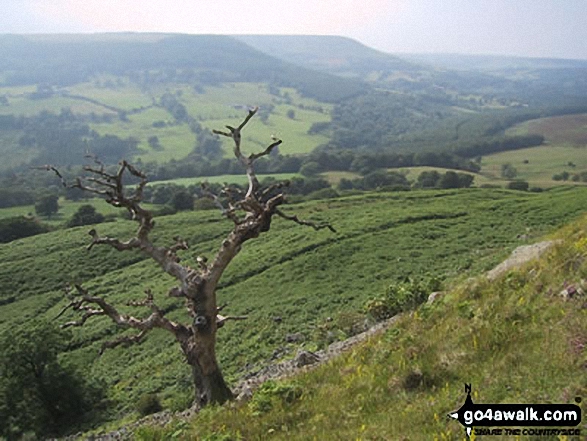 North West from Hawnby Hill