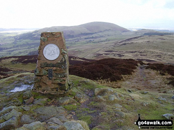 Gowbarrow Fell (Airy Crag) summit