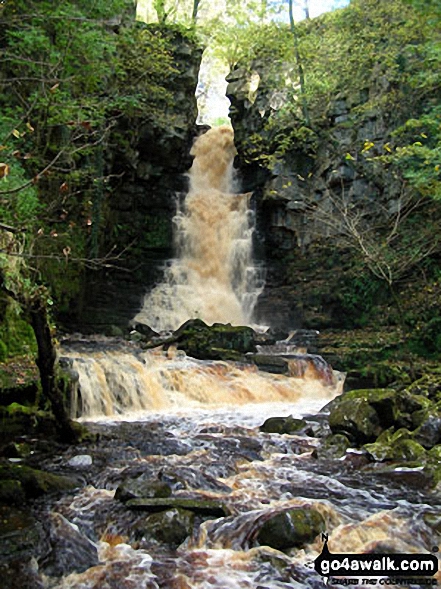 Mill Gill Force near Askrigg