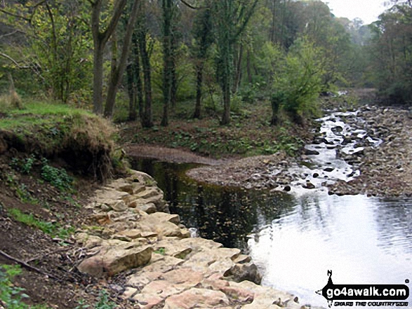 The River Ure at Middleham