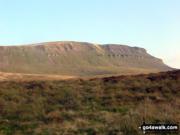 Walk ny158 Pen-y-ghent and Plover Hill from Horton in Ribblesdale - Pen-y-ghent from the Pennine Way near Hull Pot