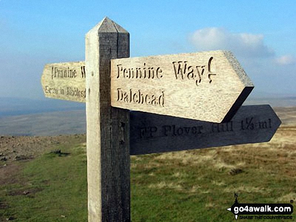 Walk ny158 Pen-y-ghent and Plover Hill from Horton in Ribblesdale - The Pennine Way sign on the summit of Pen-y-ghent