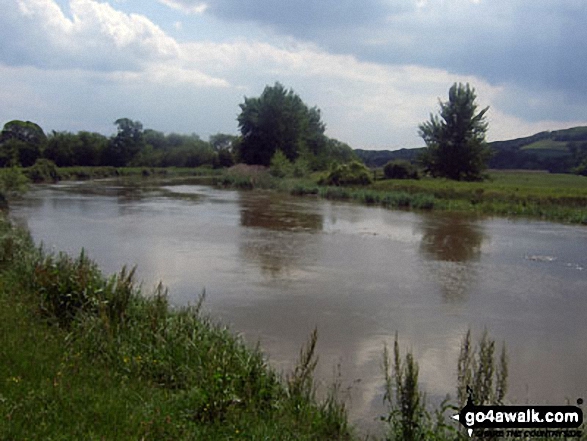 Walk ws101 Arundel Park and South Stoke from Arundel - The River Arun near South Stoke