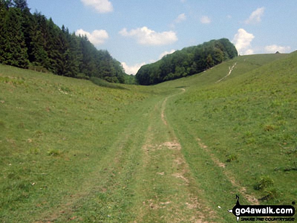 Walk ws101 Arundel Park and South Stoke from Arundel - Arundel Park