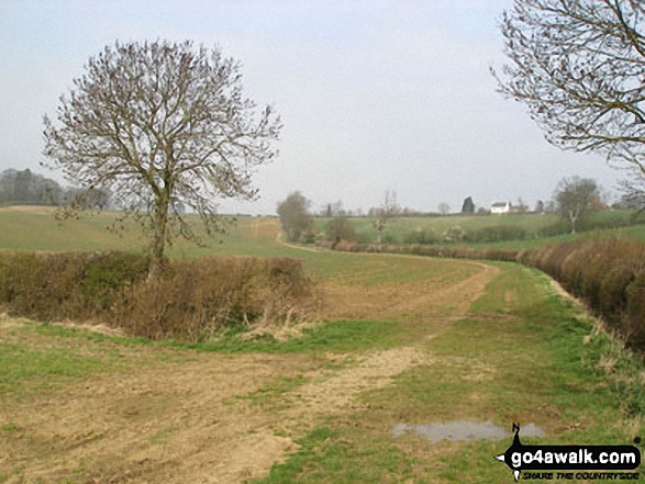 Walk no107 Nobottle from Great Brington - The countryside near Little Brington