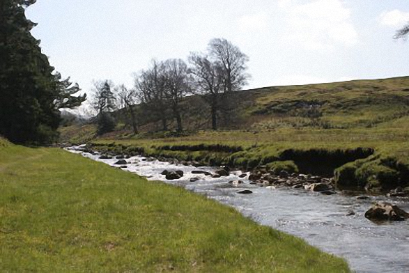 Walk n151 Killhope Law and Carrshield Moor from Allenheads - The River East Allen