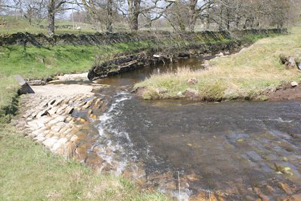 Walk n151 Killhope Law and Carrshield Moor from Allenheads - The River East Allen