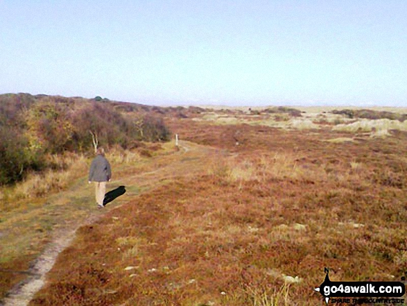 Winterton Downs National Nature Reserve