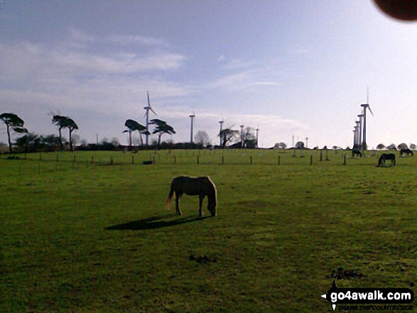 East Somerton with the windfarm in the background