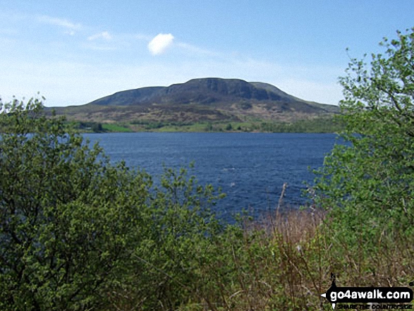 Walk gw104 Carnedd y Filiast and Arenig Fach from Llyn Celyn - Arenig Fawr from Llyn Celyn