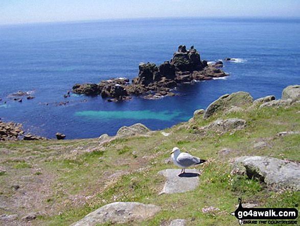 Walk co103 Fire Beacon Point from Boscastle - The Armed Knight, Land's End