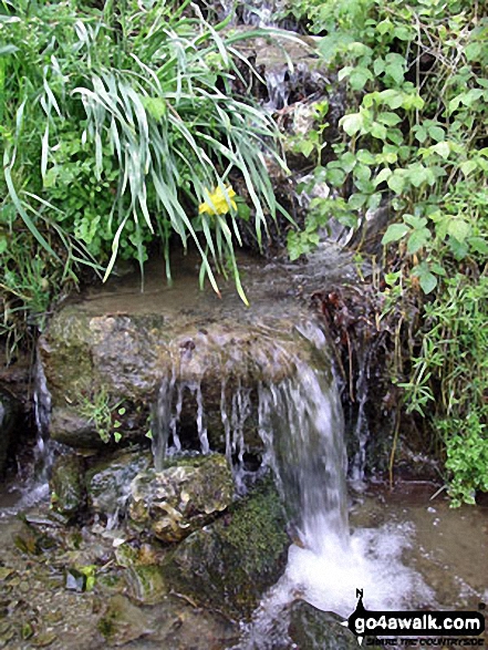 Roadside waterfall near Laneast