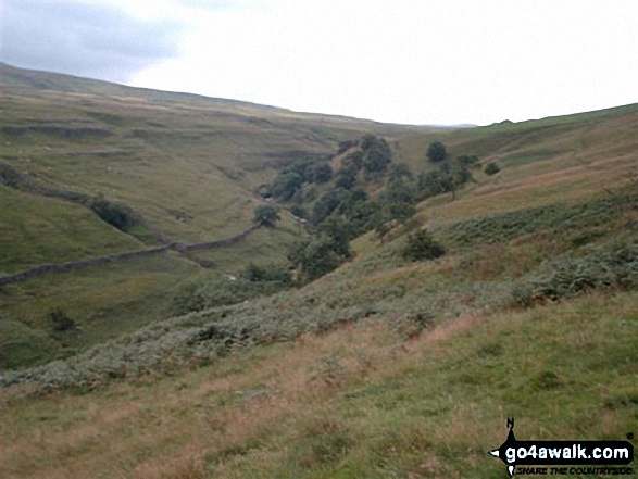 Walk ny135 Fountains Fell and Darnbrook Fell from Dale Head - Pen-y-ghent Gill