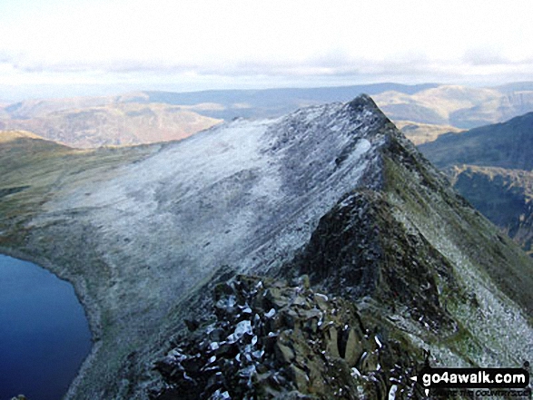 Walk c432 Helvellyn from Thirlmere - Striding Edge from Helvellyn in all its glory