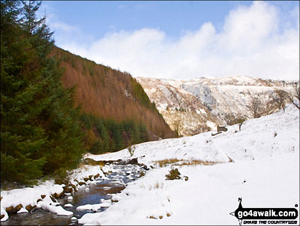 Afon Eiddew in the snow