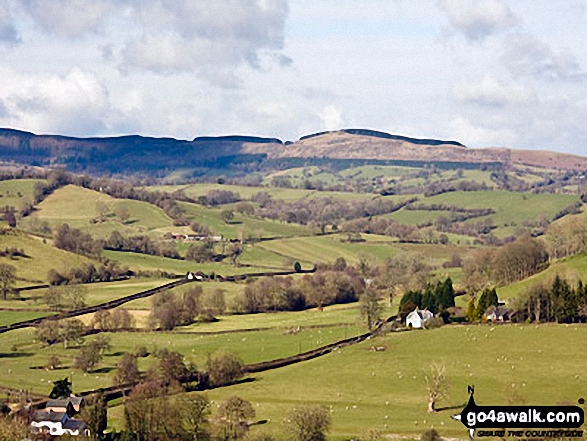 The Berwyn Hills from Coed y Llan near Llanfyllin