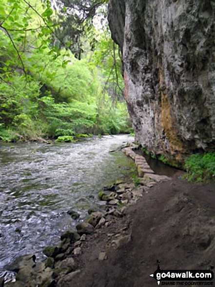 Walk d265 The Monsal Trail and Taddington from Wye Dale - Stepping Stones in Chee Dale, The River Wye