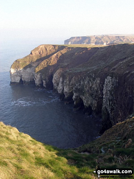 Thornwick Bay, Flamborough Head