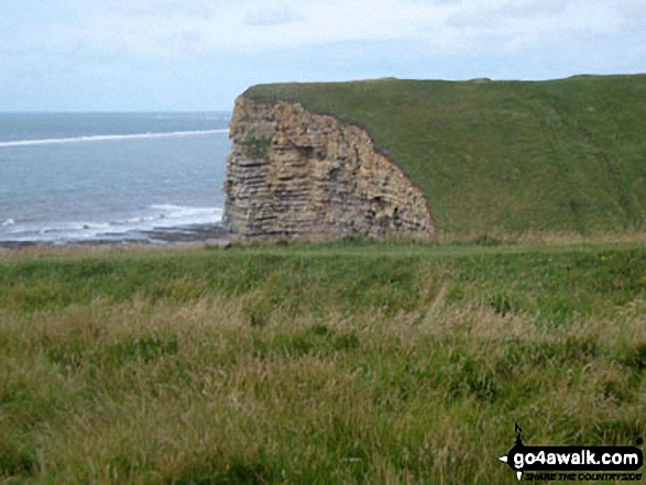 Nash Point