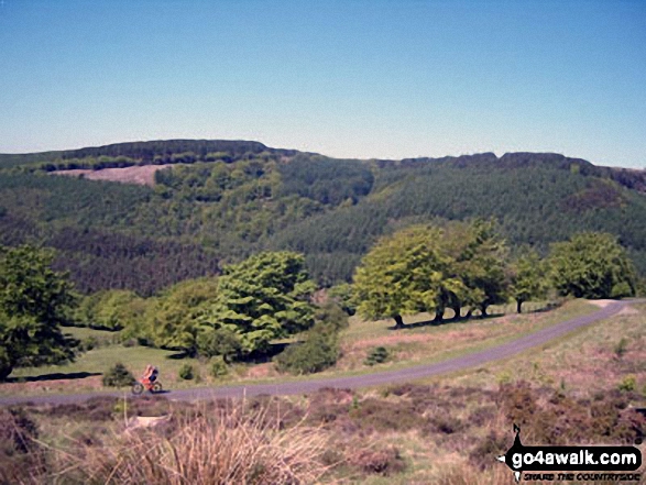 Views from Cwmcarn Forest Drive