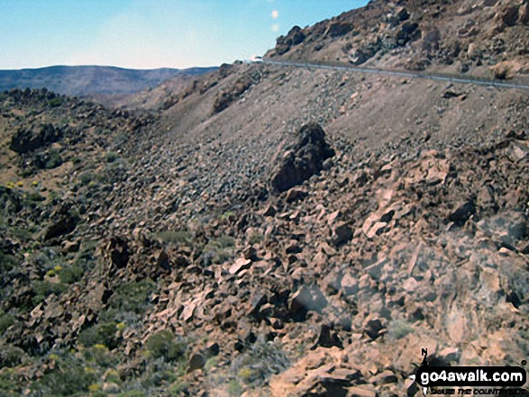 Photos from Mount Tiede National Park in Tenerife