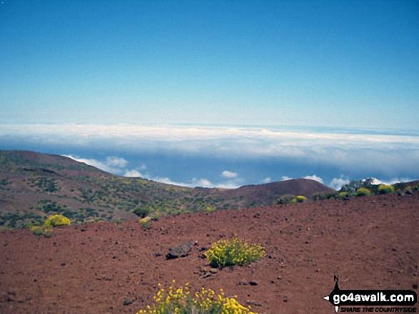 Photos from Mount Tiede National Park in Tenerife