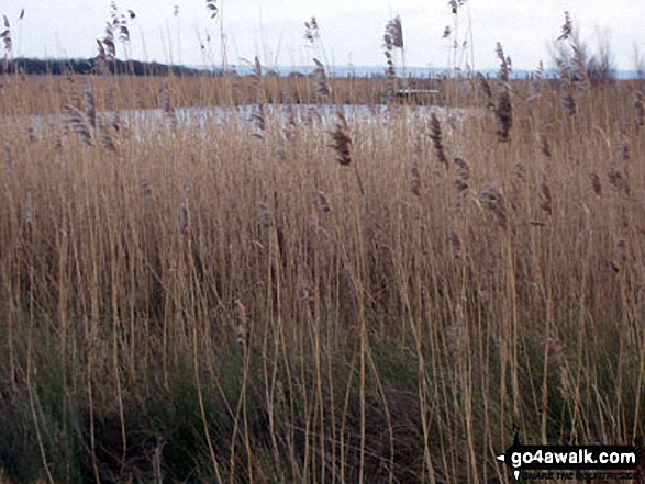 Views from Newport Wetlands Reserve, Uskmouth, Newport