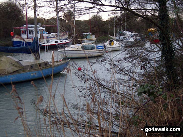 Lydney Harbour