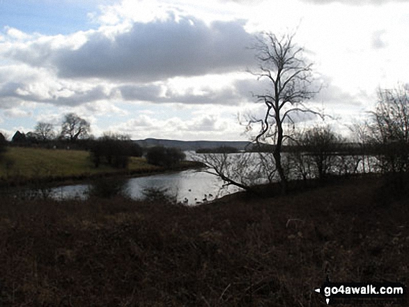 Carsington Water