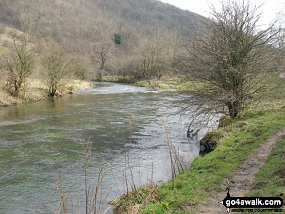 Walk d206 Monsal Dale and Ashford in the Water from Bakewell - The River Wye in Monsal Dale