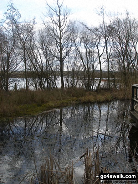 Carsington Water