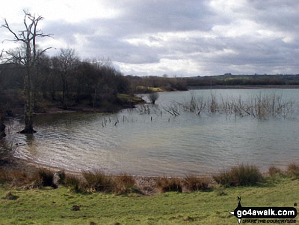 Carsington Water