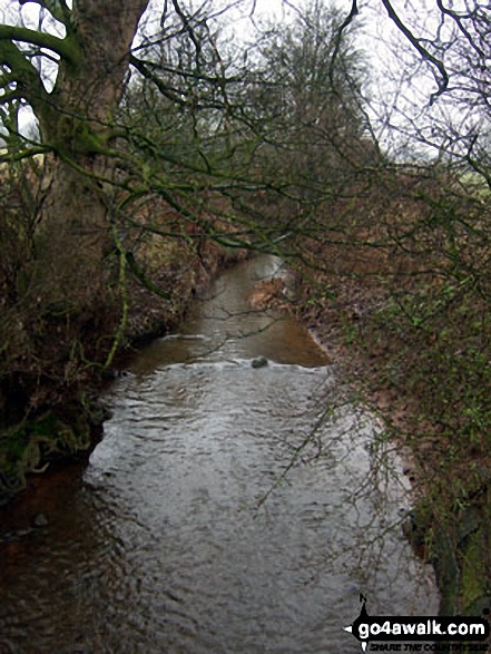 Arley Brook