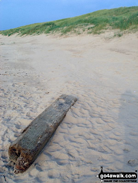 Driftwood on Ainsdale Sands