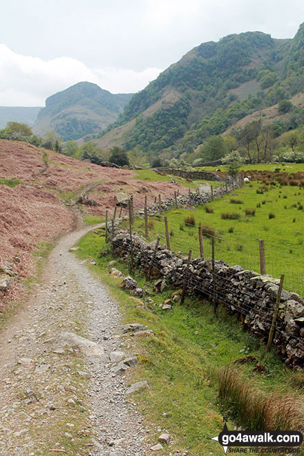 Walk c369 High Raise, Ullscarf and Grange Fell from Rosthwaite - On the Cumbrian Way beside Stonethwaite Beck looking up Borrowdale to Alisongrass Crag and Eagle Crag