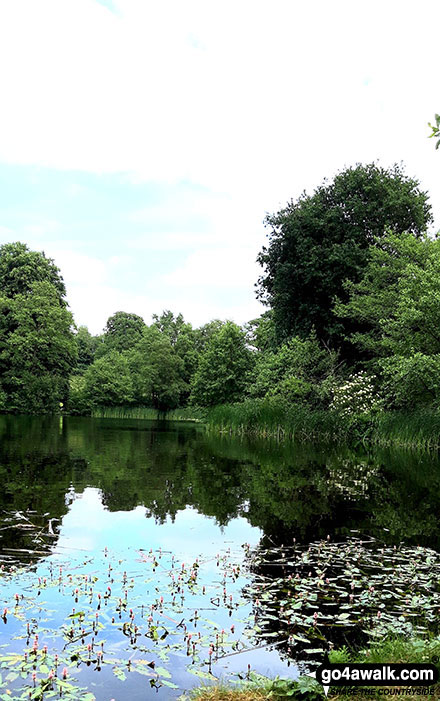 Walk ch235 Newchurch Common from Whitegate - Fishing lake behind Whitegate church