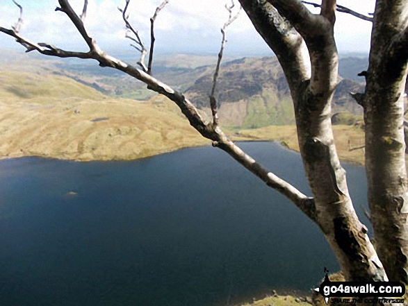 Walk c281 The Langdale Pikes via North Rake from The New Dungeon Ghyll, Great Langdale - Stickle Tarn from half-way up Jake's Rake, Pavey Ark