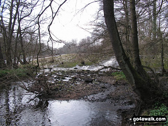 Walk d143 Curbar Edge, Froggatt Edge and Big Moor from Curbar Gap - The River Derwent at Curbar