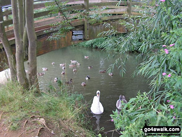 Mildenhall, The River Lark