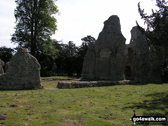 Weeting Castle, Thetford Forest