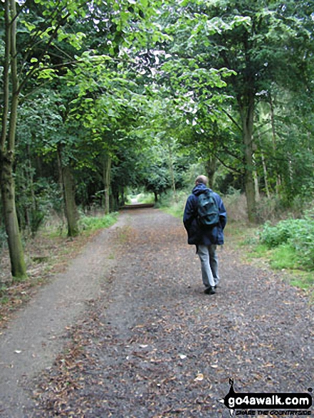 Hardwick Heath